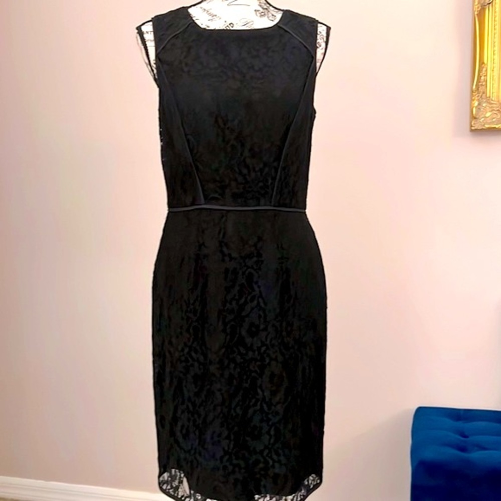 Ann Taylor Lace Dress
